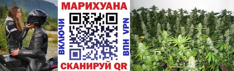 Купить  Фролово  Бошки марихуана OG Kush 